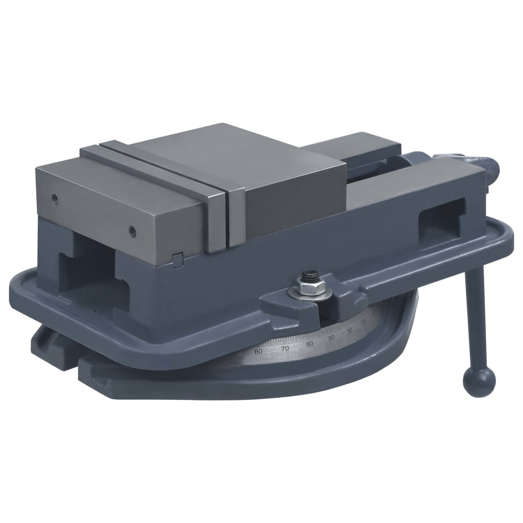 Bankschroef draaibaar 160 mm gietijzer is nu te koop bij PeponiXL, paradijselijk wonen!