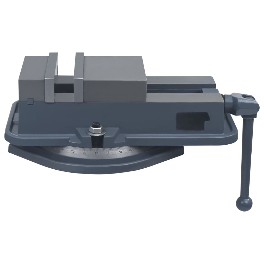 Bankschroef draaibaar 160 mm gietijzer is nu te koop bij PeponiXL, paradijselijk wonen!