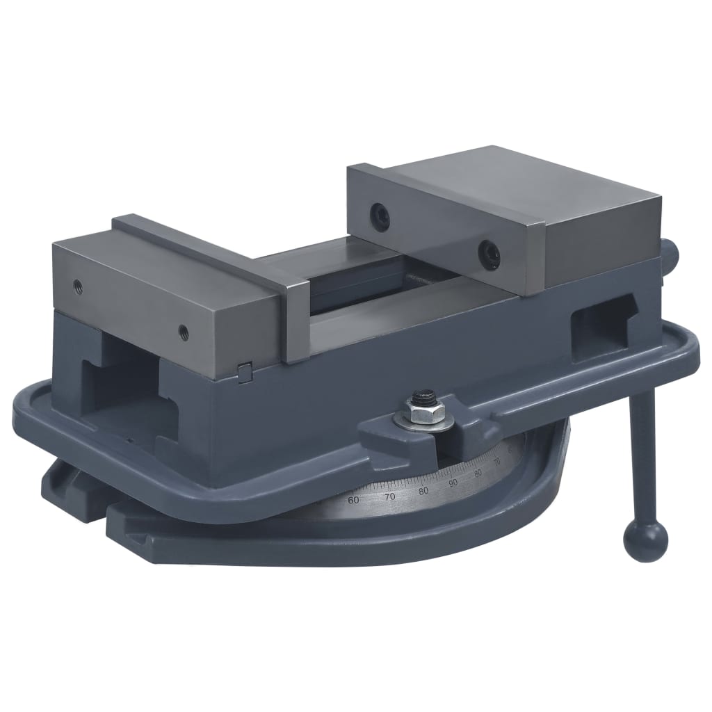 Bankschroef draaibaar 160 mm gietijzer is nu te koop bij PeponiXL, paradijselijk wonen!