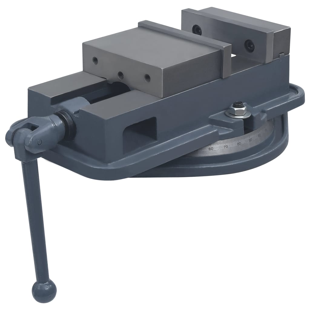 Bankschroef draaibaar 160 mm gietijzer is nu te koop bij PeponiXL, paradijselijk wonen!