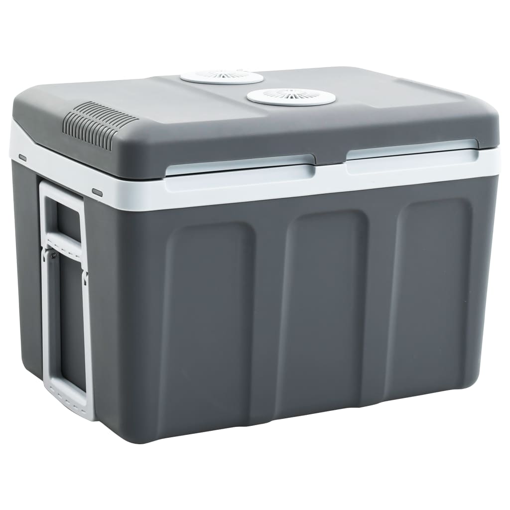 Koelbox thermo-elektrisch draagbaar 12 V 230 V E 40 L is nu te koop bij PeponiXL, paradijselijk wonen!