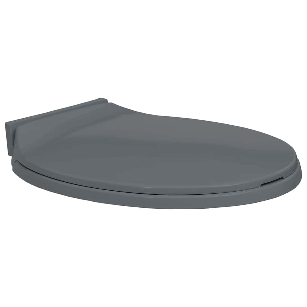 Toiletbril soft-close ovaal grijs is nu te koop bij PeponiXL, paradijselijk wonen!