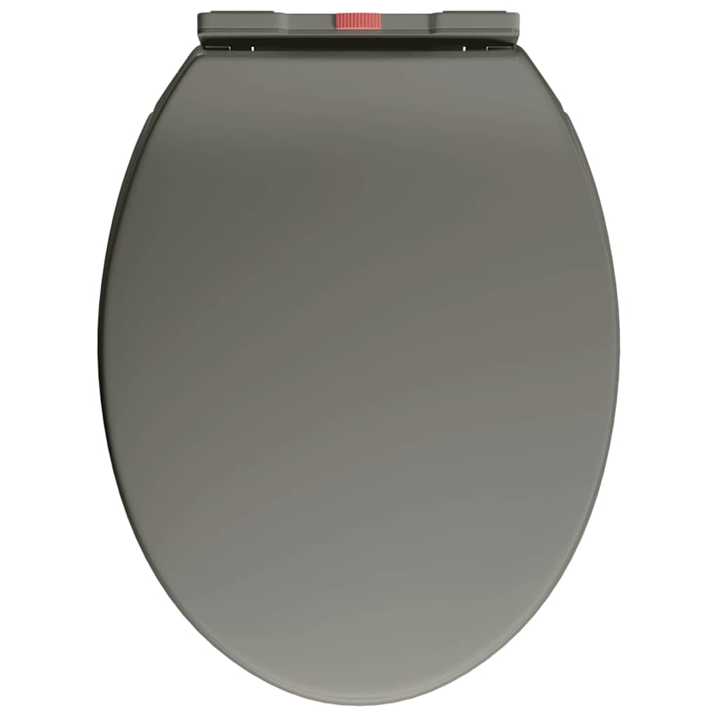 Toiletbril soft-close en quick-release ovaal grijs is nu te koop bij PeponiXL, paradijselijk wonen!