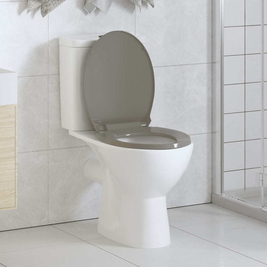 Toiletbril soft-close en quick-release ovaal grijs is nu te koop bij PeponiXL, paradijselijk wonen!