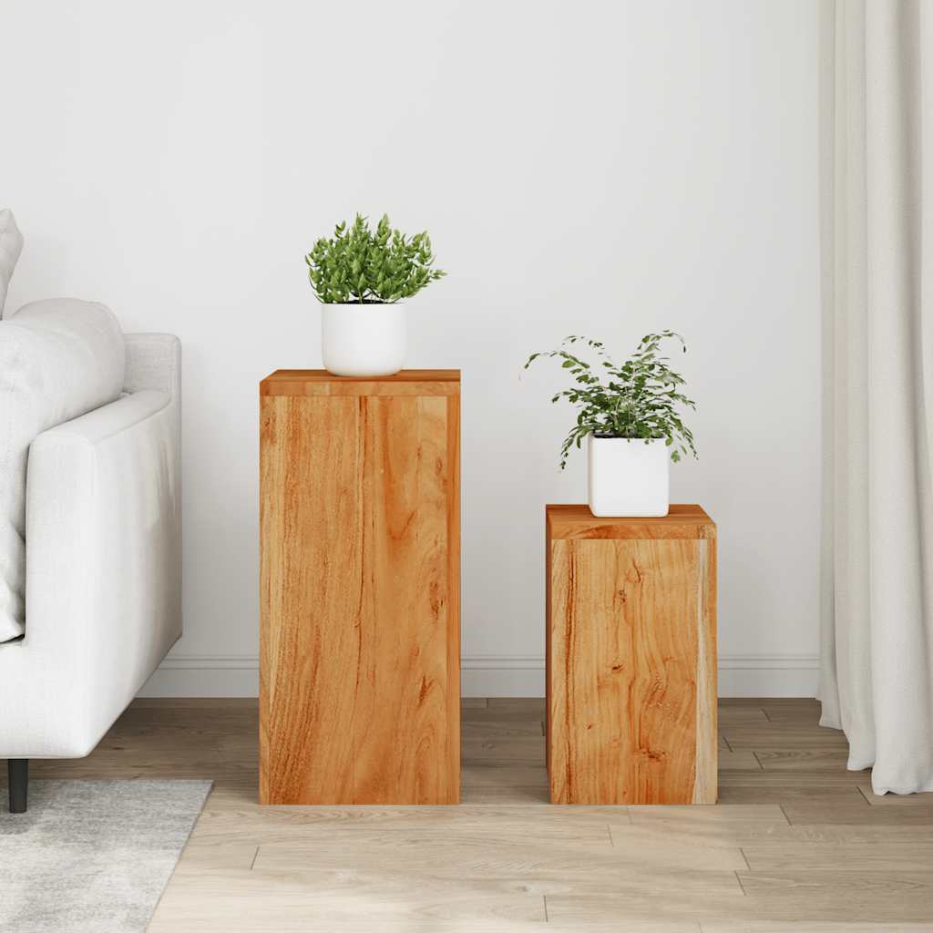 Plantenstandaards 2 st massief acaciahout is nu te koop bij PeponiXL, paradijselijk wonen!