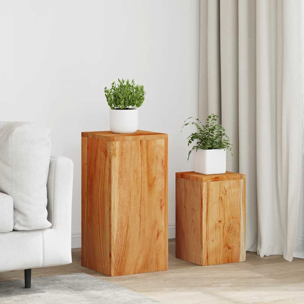 Plantenstandaards 2 st massief acaciahout is nu te koop bij PeponiXL, paradijselijk wonen!