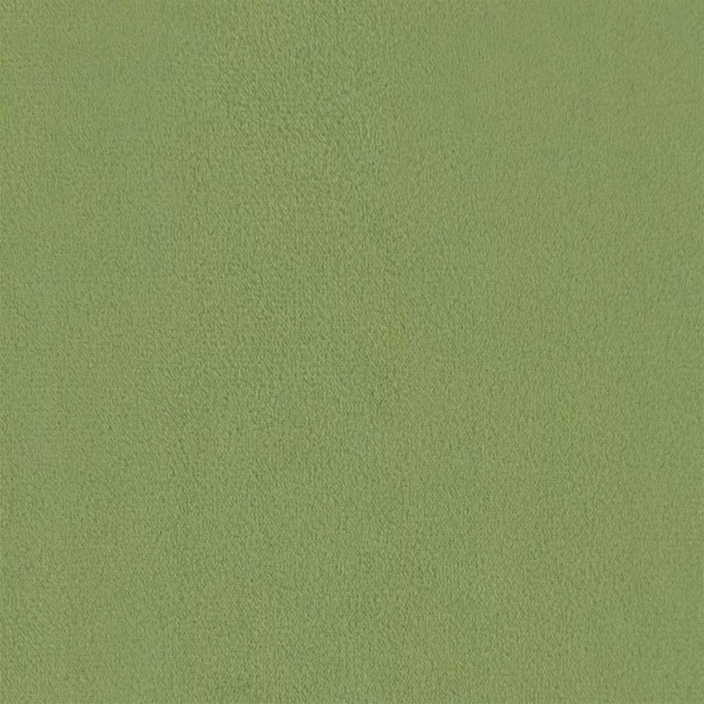 Fauteuil fluweel lichtgroen is nu te koop bij PeponiXL, paradijselijk wonen!