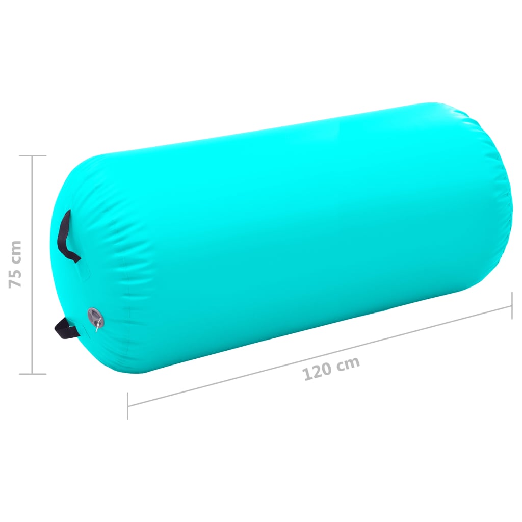 Gymnastiekrol met pomp opblaasbaar 120x75 cm PVC groen is nu te koop bij PeponiXL, paradijselijk wonen!