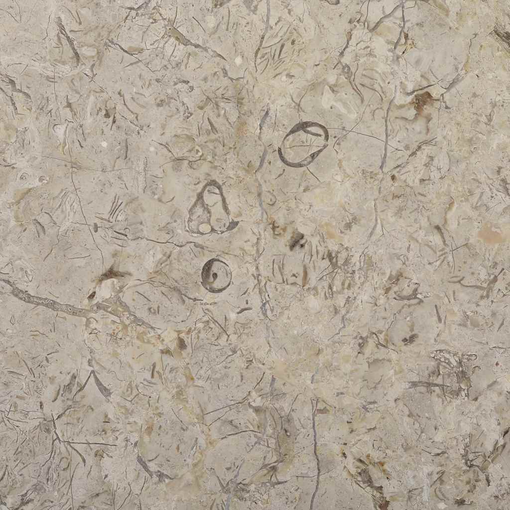 Tafelblad Ø50x2,5 cm marmer grijs is nu te koop bij PeponiXL, paradijselijk wonen!
