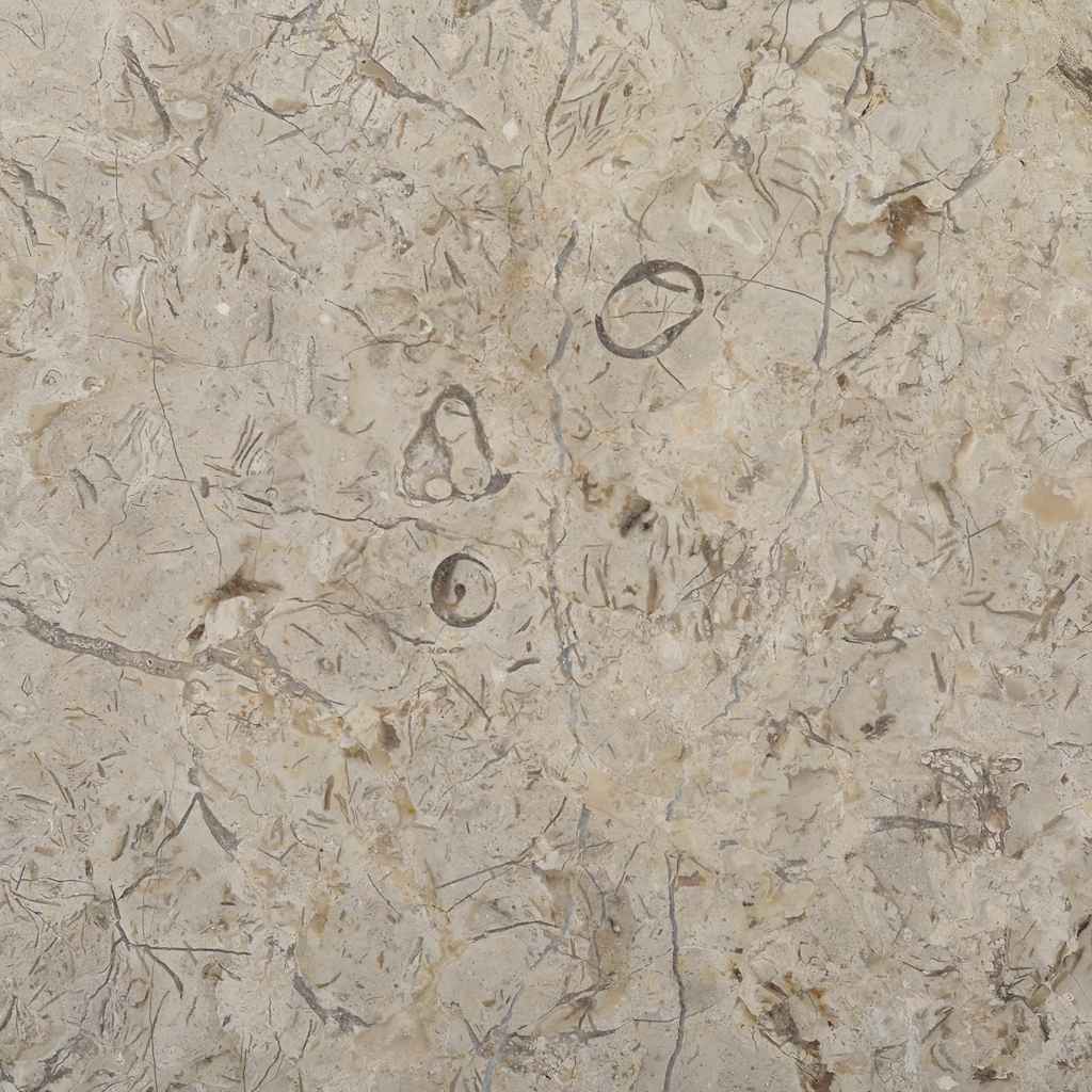 Tafelblad Ø50x2,5 cm marmer grijs is nu te koop bij PeponiXL, paradijselijk wonen!