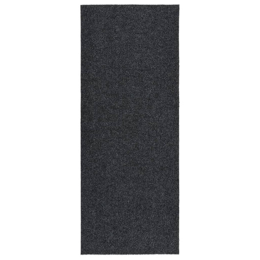 Droogloopmat 100x250 cm antracietkleurig is nu te koop bij PeponiXL, paradijselijk wonen!