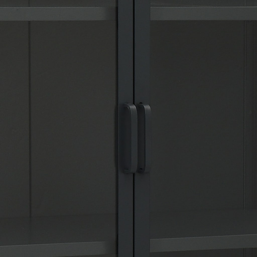 Hoge kast 80x35x135 cm staal en gehard glas zwart