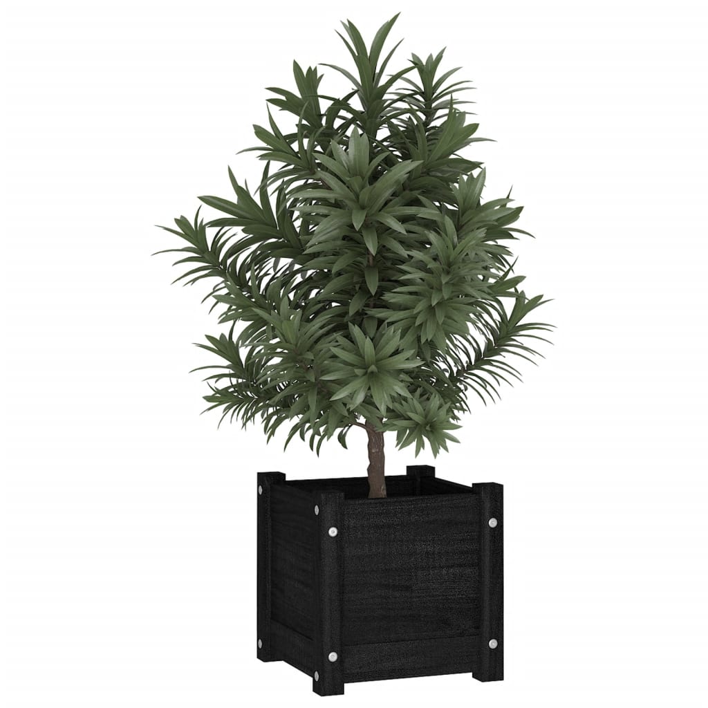 Plantenbakken 2 st 31x31x31 cm massief grenenhout zwart is nu te koop bij PeponiXL, paradijselijk wonen!