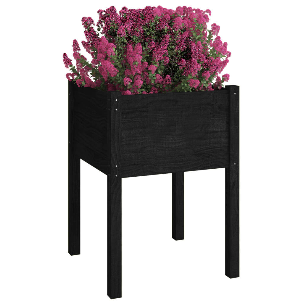 Plantenbakken 2 st 50x50x70 cm massief grenenhout zwart is nu te koop bij PeponiXL, paradijselijk wonen!