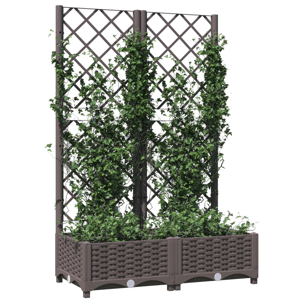 Plantenbak met latwerk 80x40x121,5 cm polypropeen bruin is nu te koop bij PeponiXL, paradijselijk wonen!