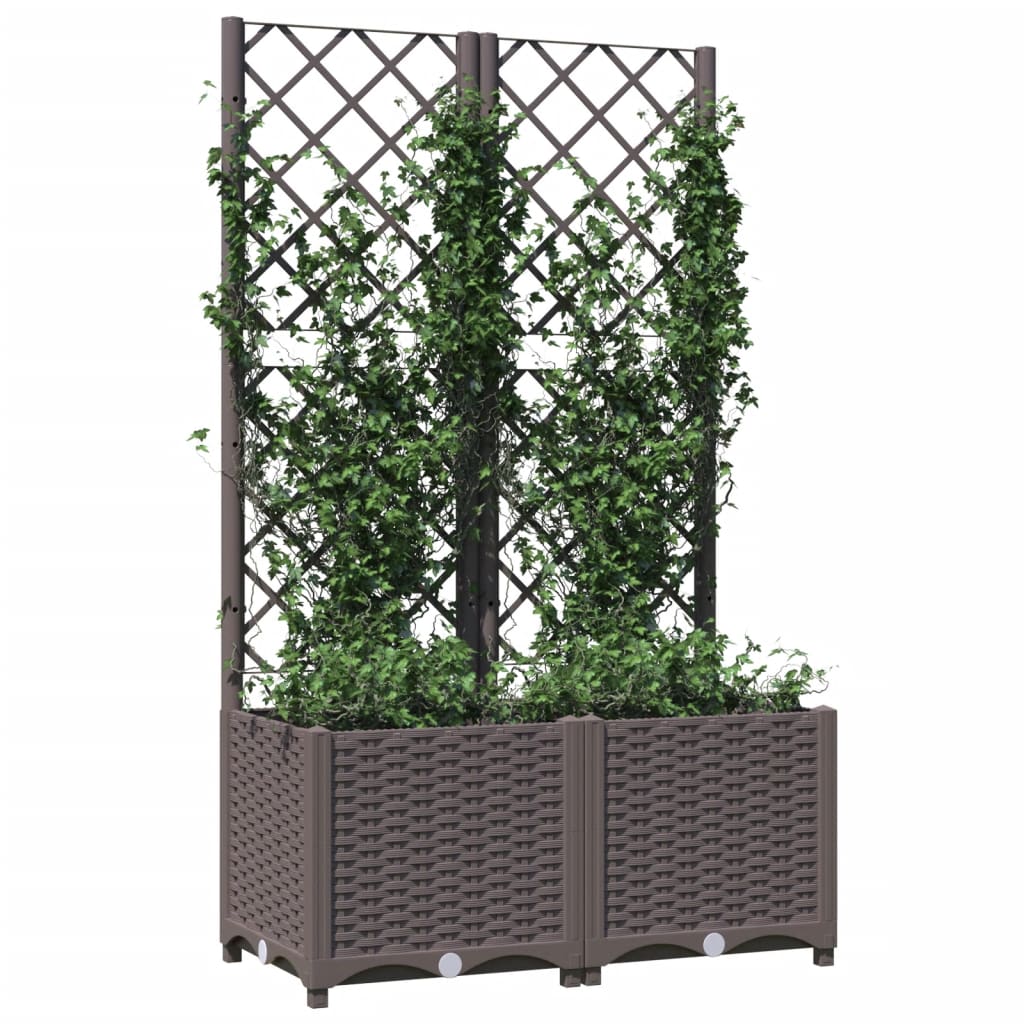 Plantenbak met latwerk 80x40x136 cm polypropeen bruin is nu te koop bij PeponiXL, paradijselijk wonen!
