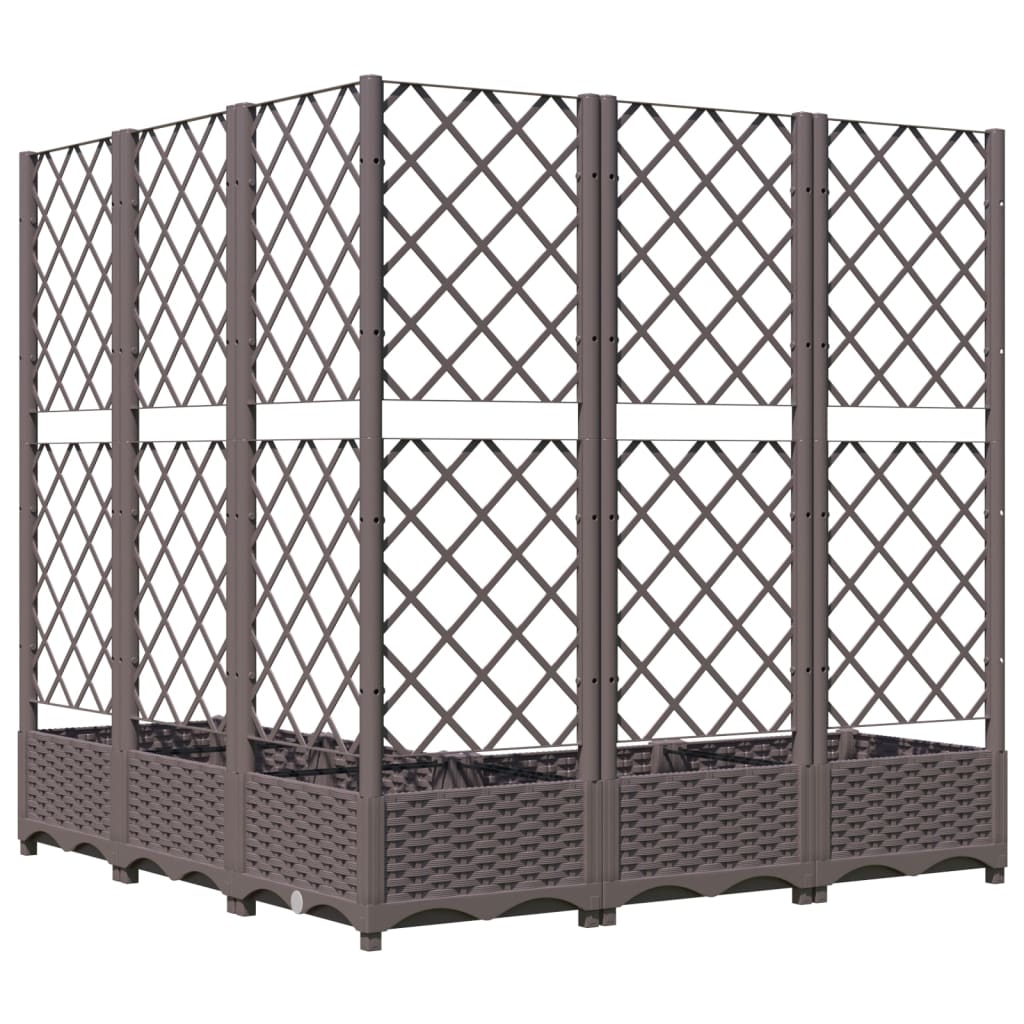 Plantenbak met latwerk 120x120x121,5 cm polypropeen bruin is nu te koop bij PeponiXL, paradijselijk wonen!
