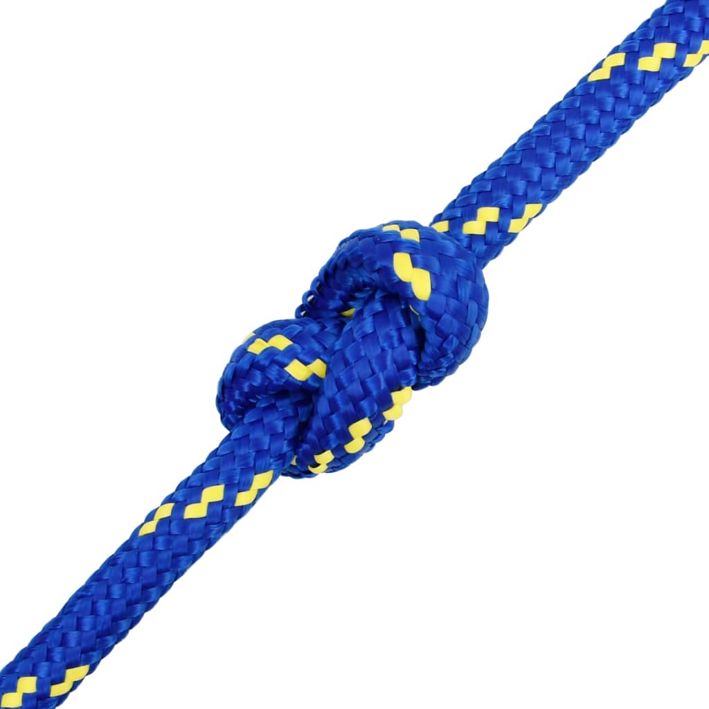 Boottouw 16 mm 100 m polypropeen blauw is nu te koop bij PeponiXL, paradijselijk wonen!