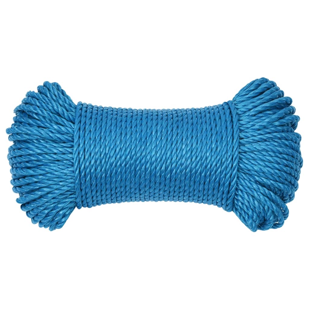 Werktouw 3 mm 50 m polypropeen blauw is nu te koop bij PeponiXL, paradijselijk wonen!