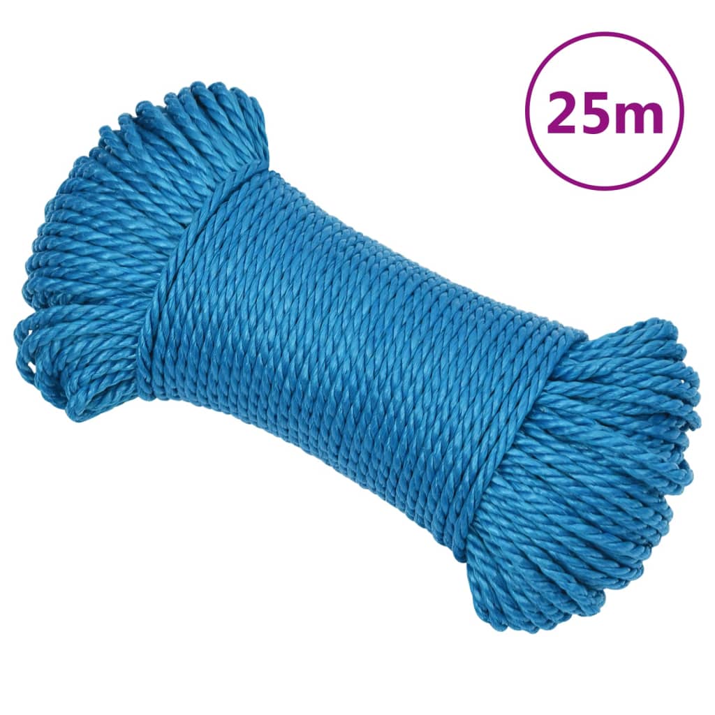 Werktouw 6 mm 25 m polypropeen blauw is nu te koop bij PeponiXL, paradijselijk wonen!
