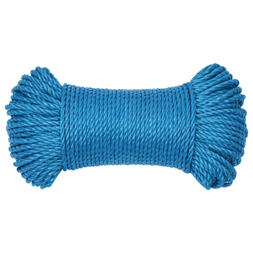 Werktouw 6 mm 50 m polypropeen blauw is nu te koop bij PeponiXL, paradijselijk wonen!