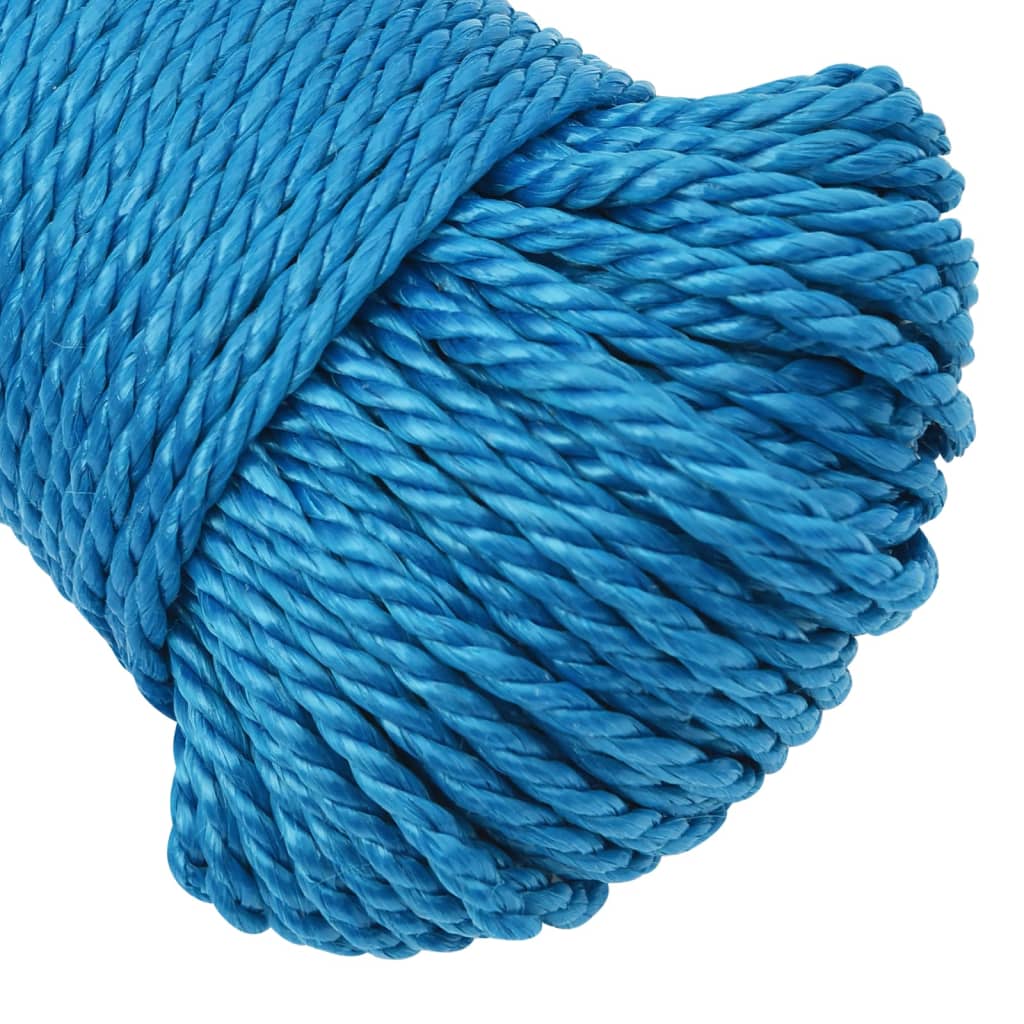 Werktouw 6 mm 50 m polypropeen blauw is nu te koop bij PeponiXL, paradijselijk wonen!