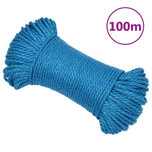 Werktouw 6 mm 100 m polypropeen blauw is nu te koop bij PeponiXL, paradijselijk wonen!