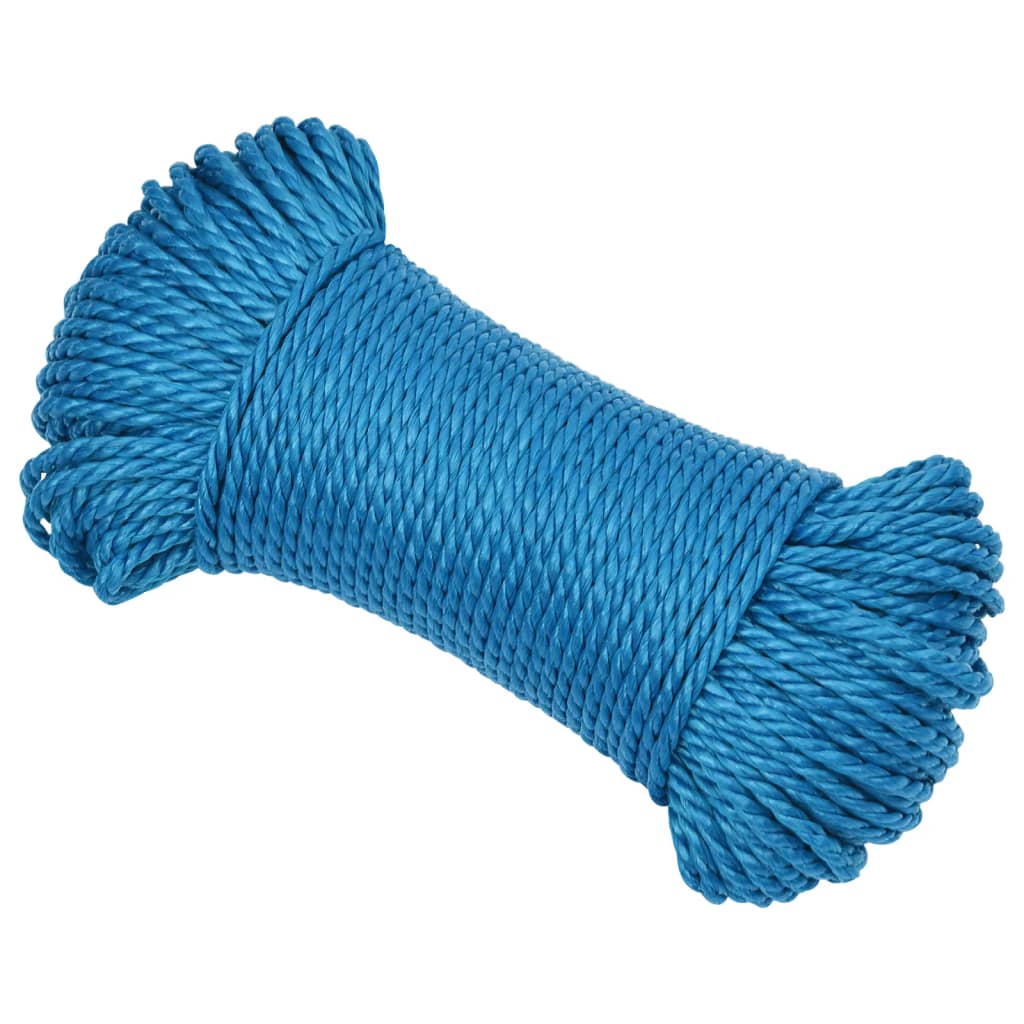 Werktouw 6 mm 100 m polypropeen blauw is nu te koop bij PeponiXL, paradijselijk wonen!