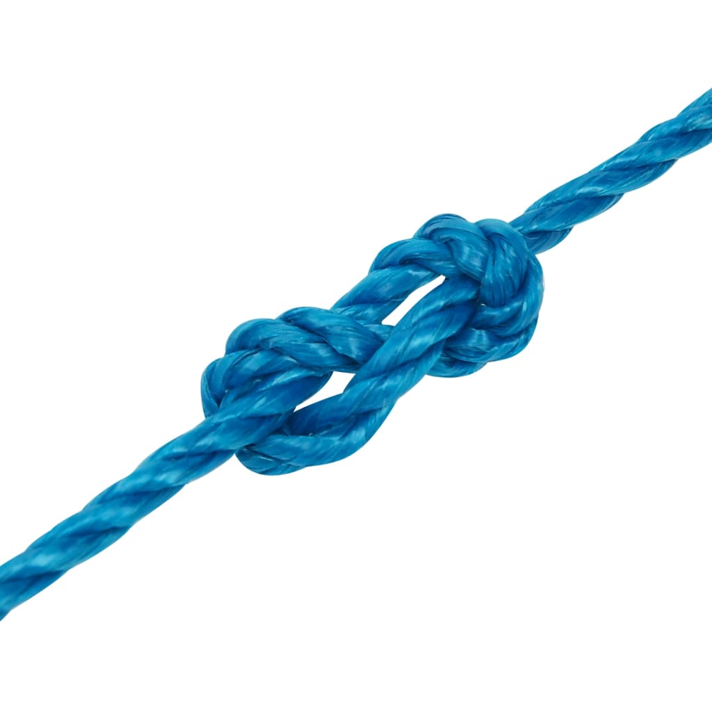 Werktouw 6 mm 100 m polypropeen blauw is nu te koop bij PeponiXL, paradijselijk wonen!