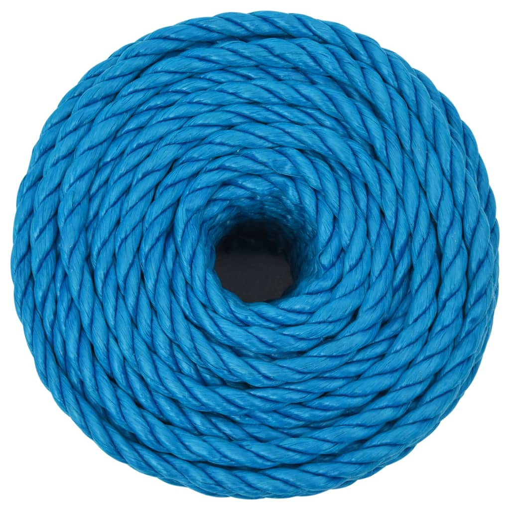 Werktouw 10 mm 50 m polypropeen blauw is nu te koop bij PeponiXL, paradijselijk wonen!