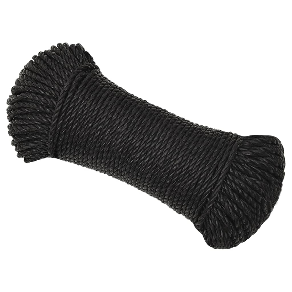 Werktouw 6 mm 100 m polypropeen zwart is nu te koop bij PeponiXL, paradijselijk wonen!