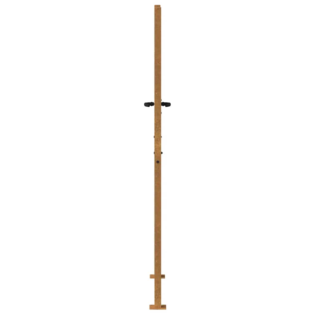 Poort 100x200 cm grasontwerp cortenstaal is nu te koop bij PeponiXL, paradijselijk wonen!