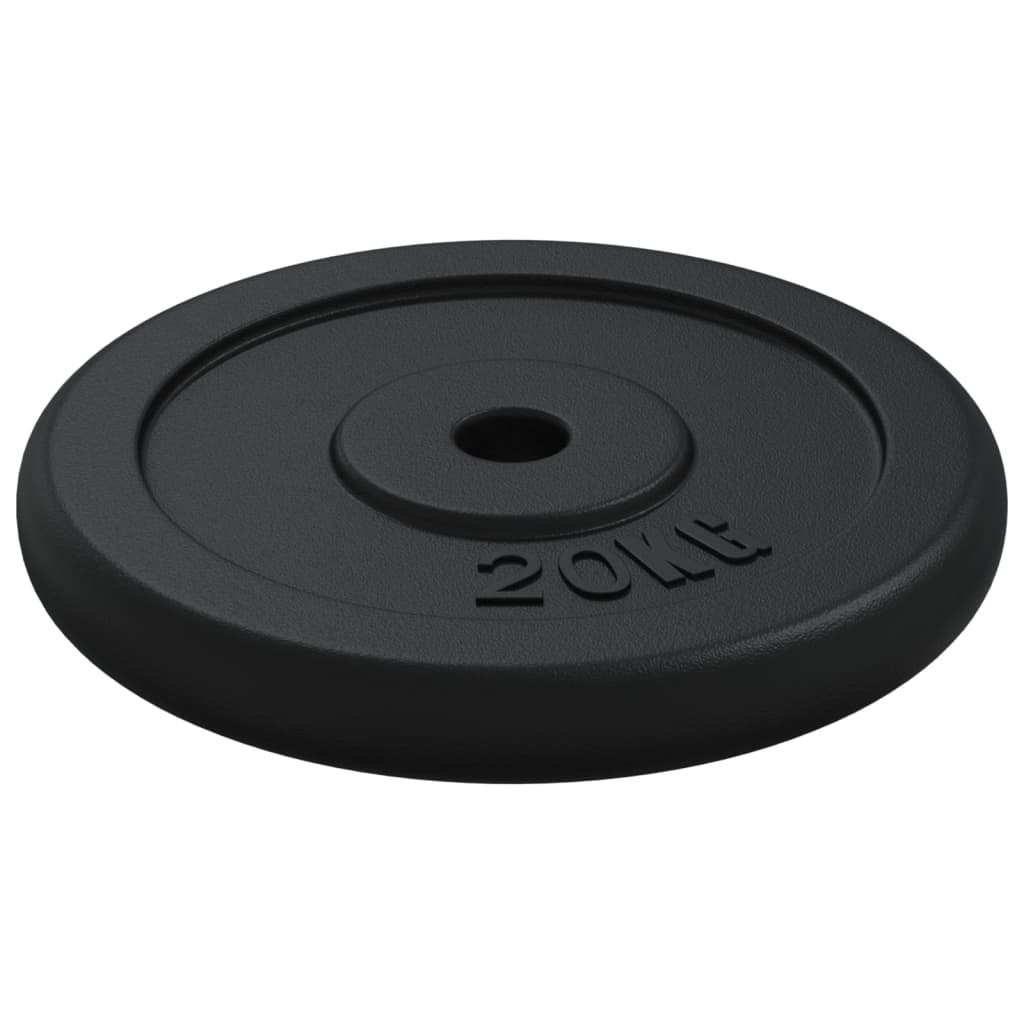 Halterschijf 40 kg gietijzer is nu te koop bij PeponiXL, paradijselijk wonen!