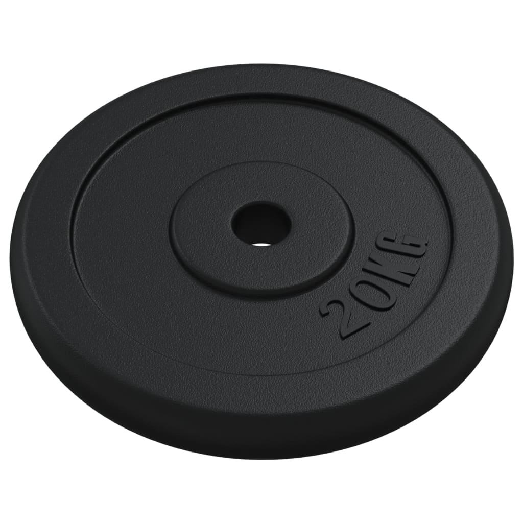 Halterschijf 40 kg gietijzer is nu te koop bij PeponiXL, paradijselijk wonen!