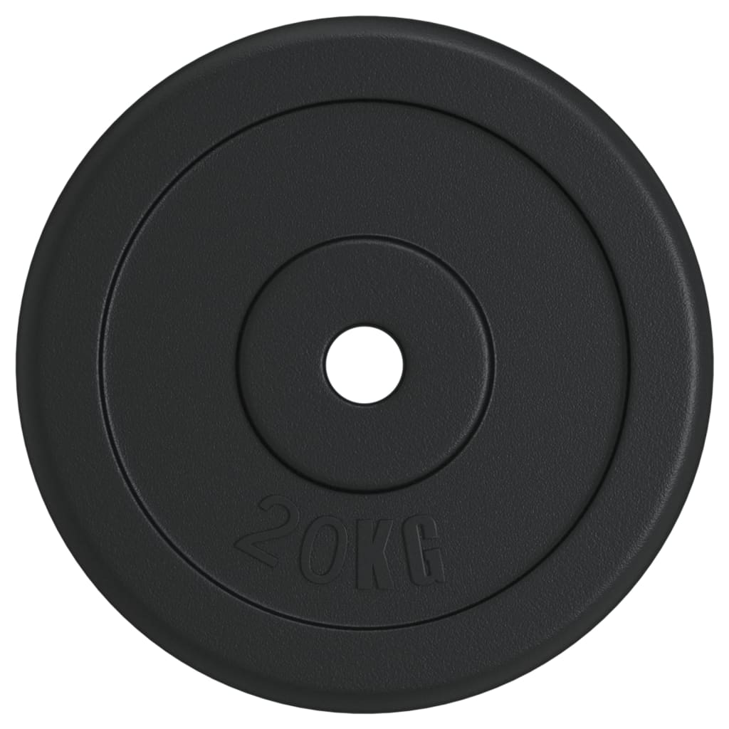 Halterschijf 40 kg gietijzer is nu te koop bij PeponiXL, paradijselijk wonen!