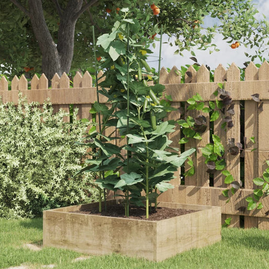 Plantensteunen 5 st met 3 ringen 75 cm staal groen is nu te koop bij PeponiXL, paradijselijk wonen!