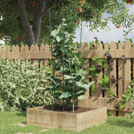Plantensteunen 5 st met 4 ringen 90 cm staal groen is nu te koop bij PeponiXL, paradijselijk wonen!