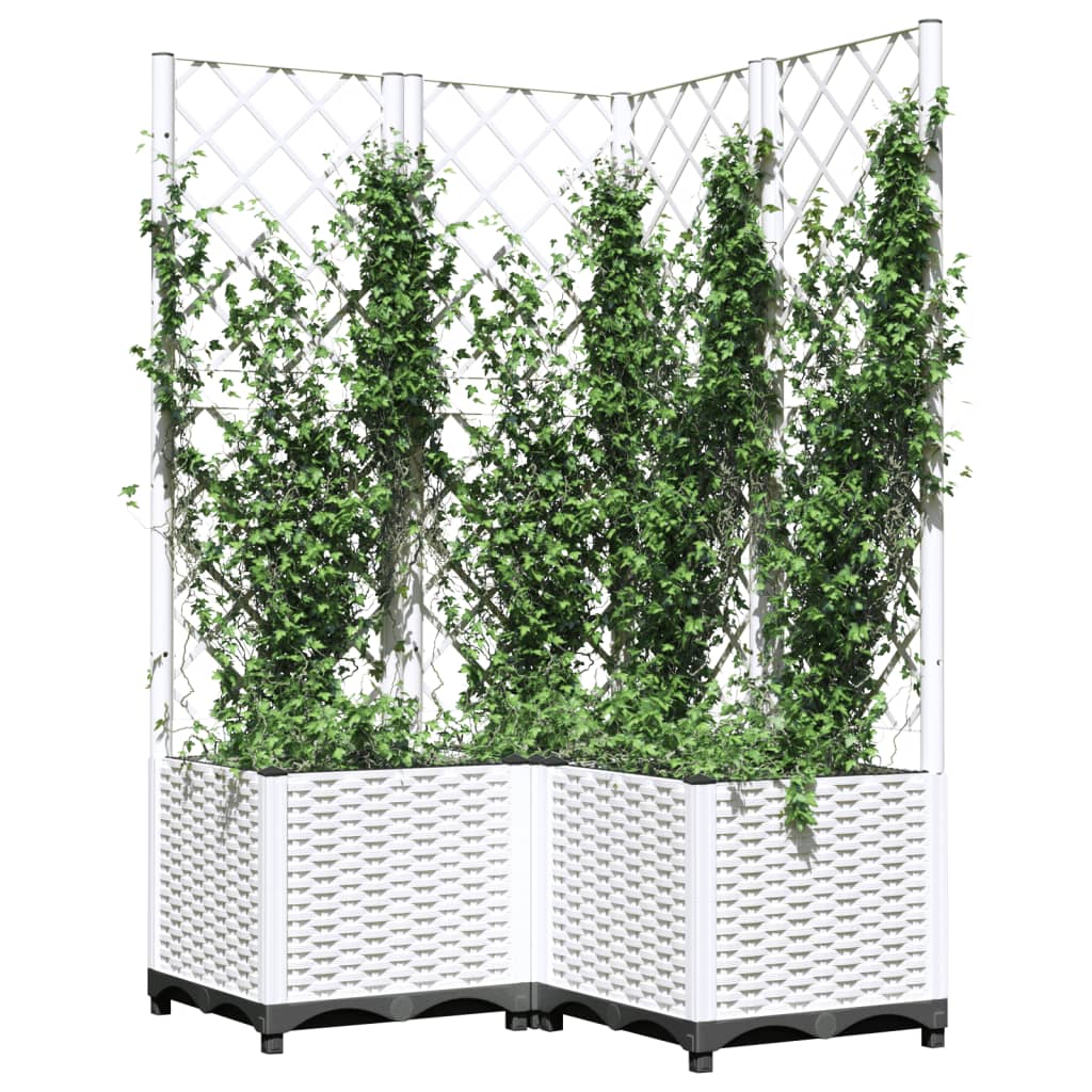 Plantenbak met latwerk 80x80x136 cm polypropeen wit is nu te koop bij PeponiXL, paradijselijk wonen!
