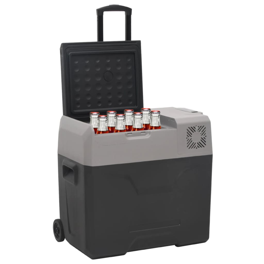 Koelbox met wielen en adapter 30 L polypropeen zwart en grijs is nu te koop bij PeponiXL, paradijselijk wonen!
