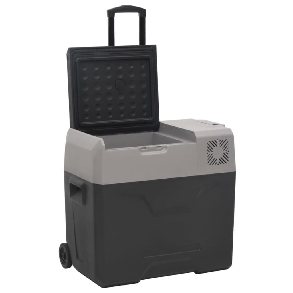 Koelbox met wielen en adapter 30 L polypropeen zwart en grijs is nu te koop bij PeponiXL, paradijselijk wonen!
