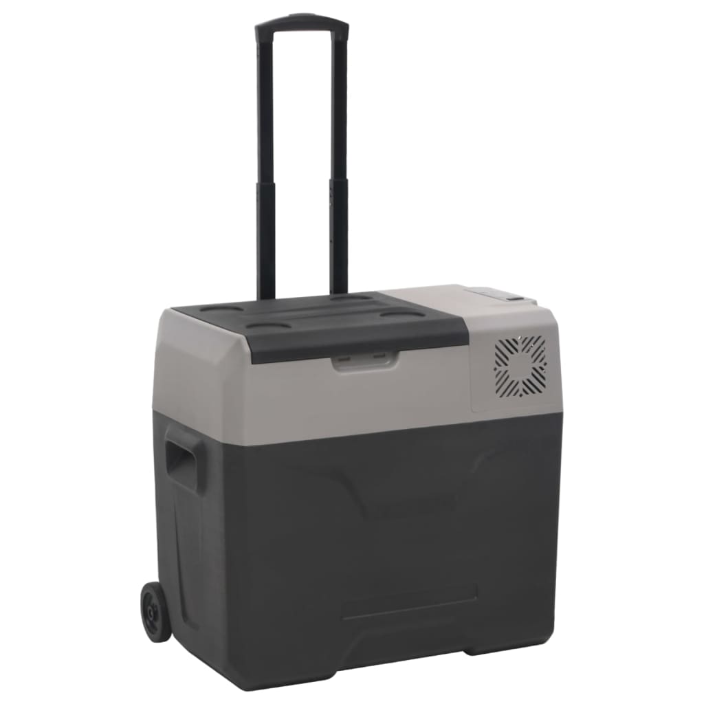 Koelbox met wielen en adapter 30 L polypropeen zwart en grijs is nu te koop bij PeponiXL, paradijselijk wonen!