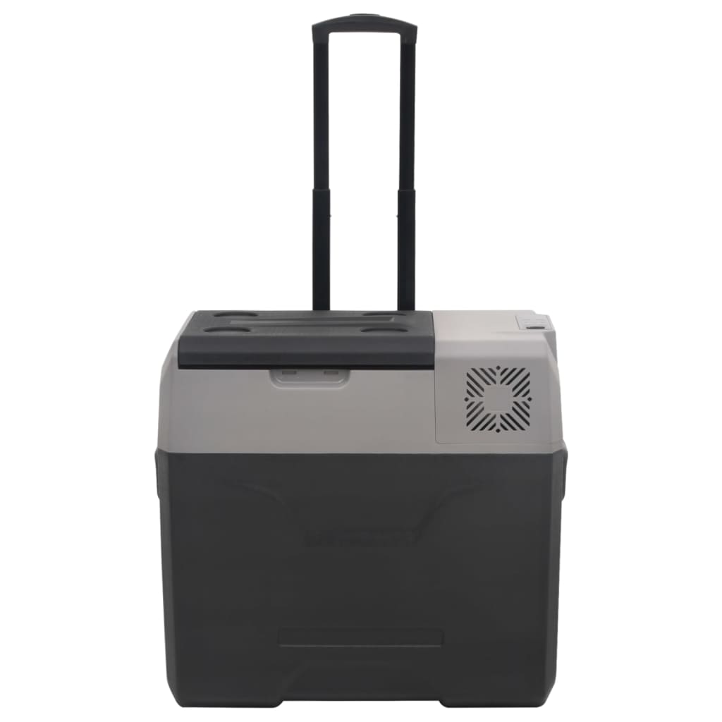 Koelbox met wielen en adapter 30 L polypropeen zwart en grijs is nu te koop bij PeponiXL, paradijselijk wonen!