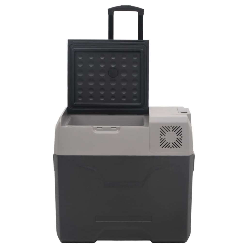 Koelbox met wielen en adapter 30 L polypropeen zwart en grijs is nu te koop bij PeponiXL, paradijselijk wonen!