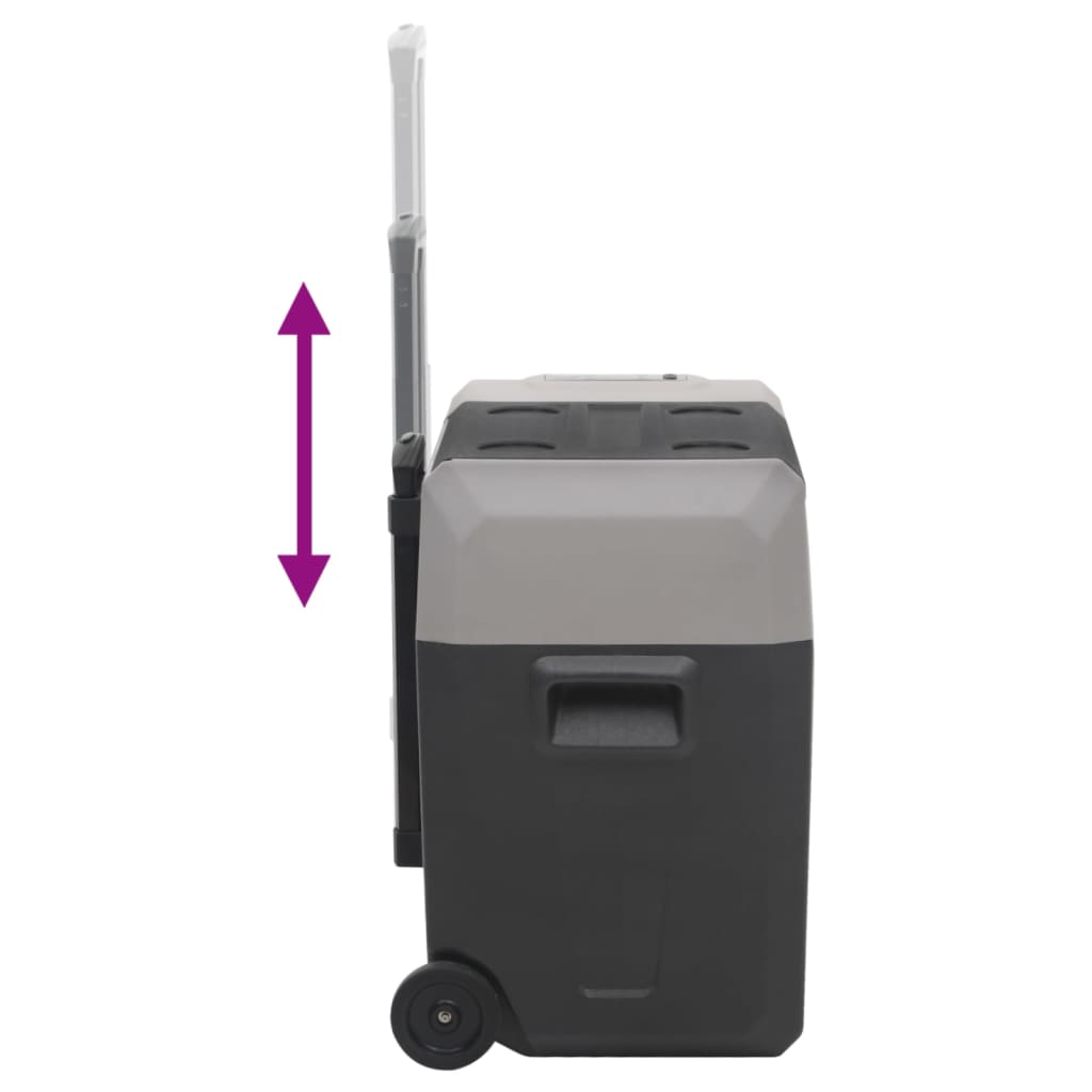 Koelbox met wielen en adapter 30 L polypropeen zwart en grijs is nu te koop bij PeponiXL, paradijselijk wonen!