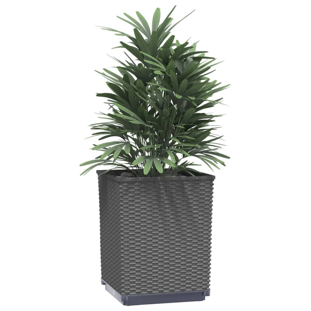 Plantenbakken 2 st 30x30x37 cm polypropeen zwart is nu te koop bij PeponiXL, paradijselijk wonen!