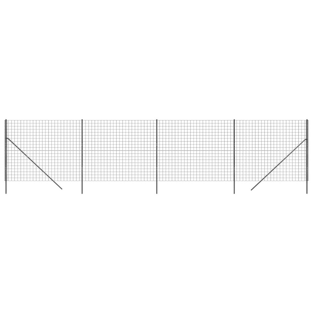 Draadgaashek 2x10 m gegalvaniseerd staal antracietkleurig is nu te koop bij PeponiXL, paradijselijk wonen!