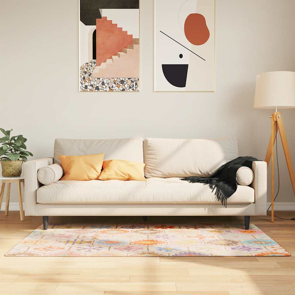 Vloerkleed wasbaar 80x150 cm meerkleurig is nu te koop bij PeponiXL, paradijselijk wonen!