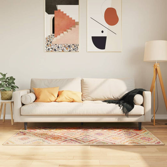 Vloerkleed wasbaar 80x150 cm meerkleurig is nu te koop bij PeponiXL, paradijselijk wonen!