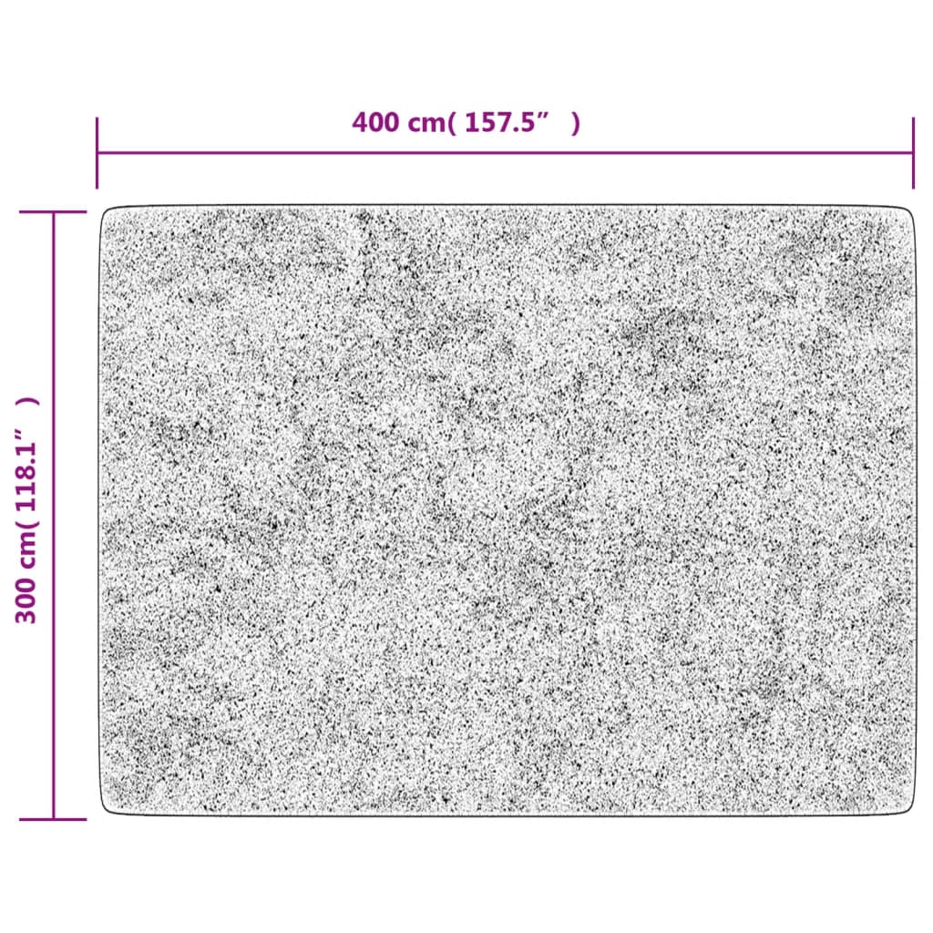 Vloerkleed wasbaar 400x300 cm meerkleurig is nu te koop bij PeponiXL, paradijselijk wonen!