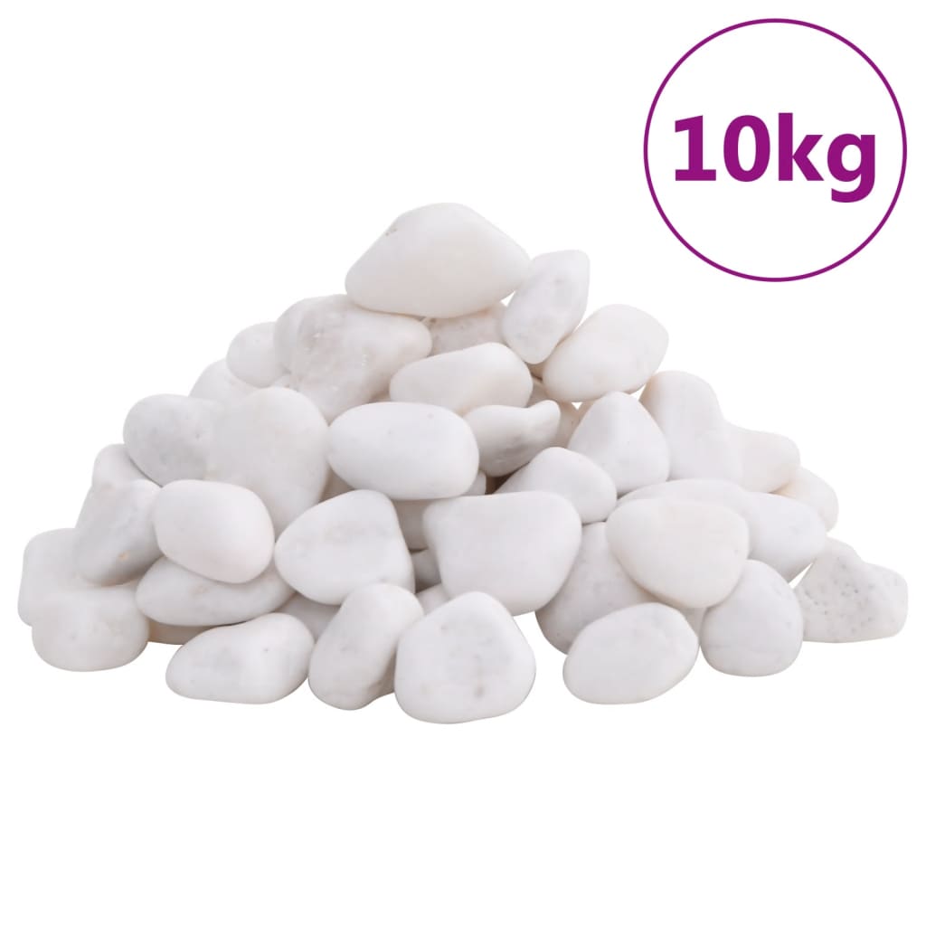 Kiezelstenen gepolijst 2-5 cm 10 kg wit is nu te koop bij PeponiXL, paradijselijk wonen!